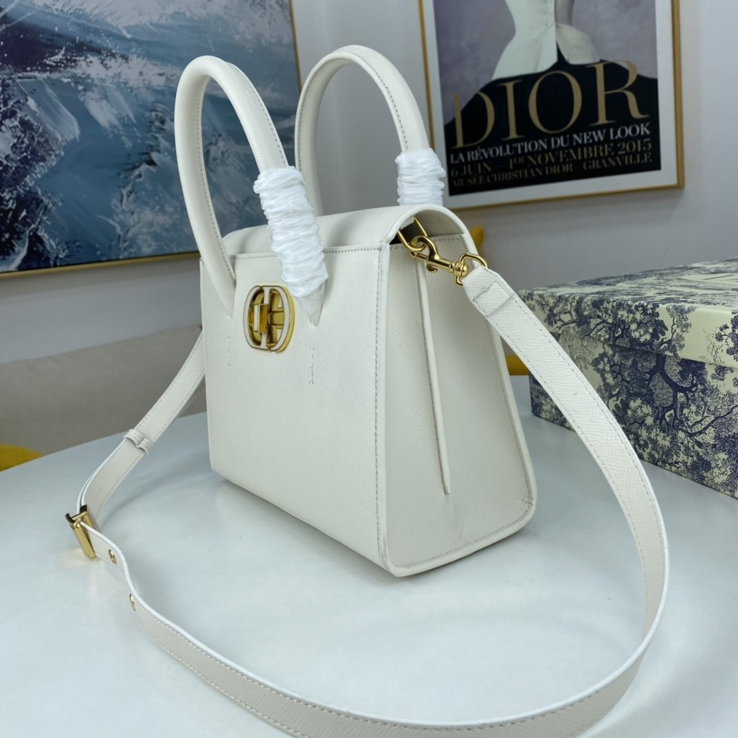 Luxury Handbags Christian Dior 078