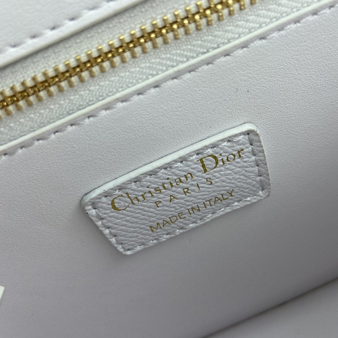 Luxury Handbags Christian Dior 094