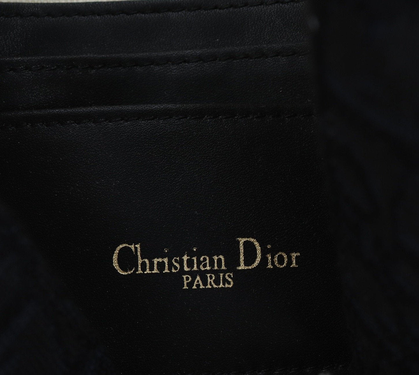 Luxury Handbags Christian Dior 164