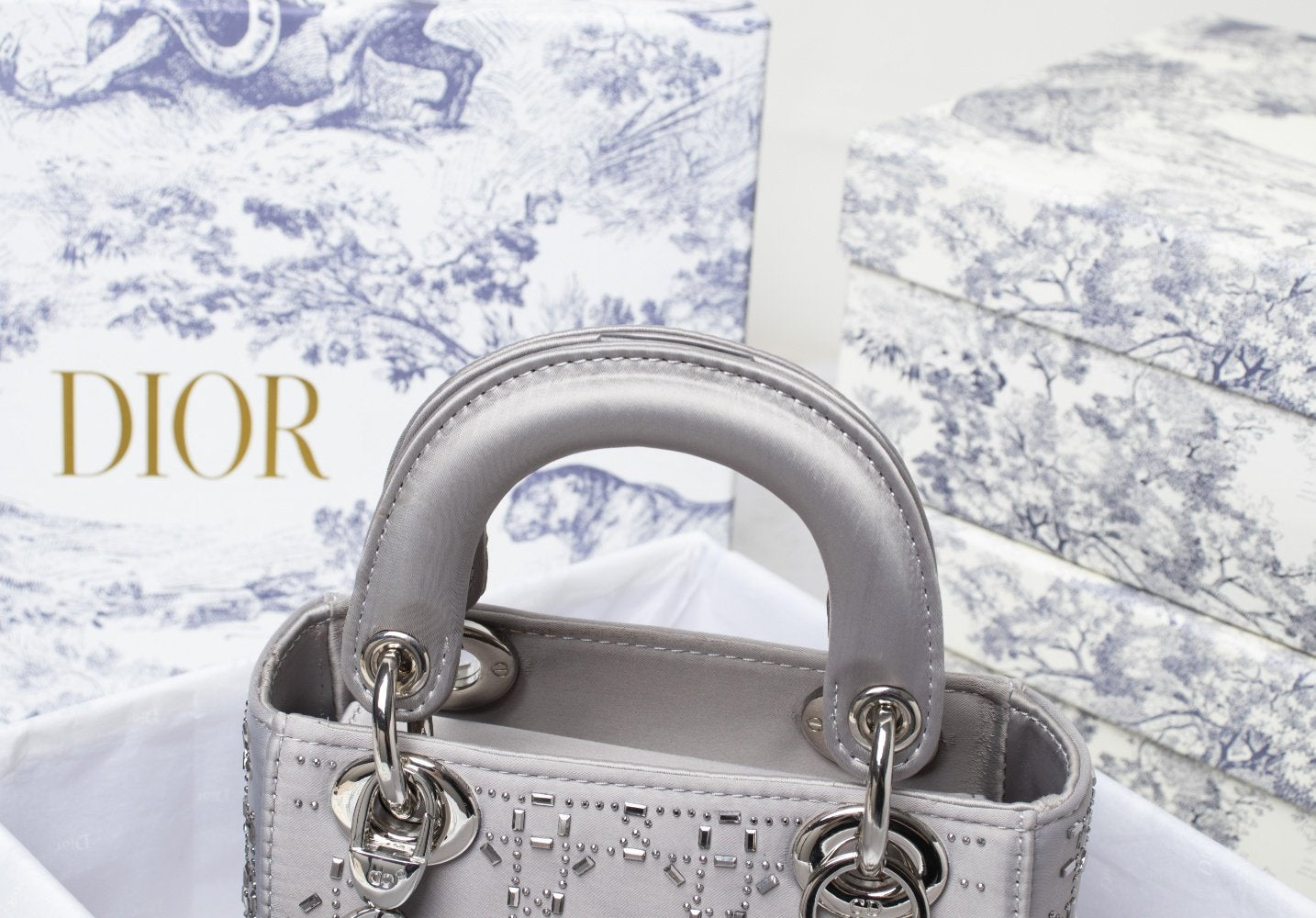 Luxury Handbags Christian Dior 231