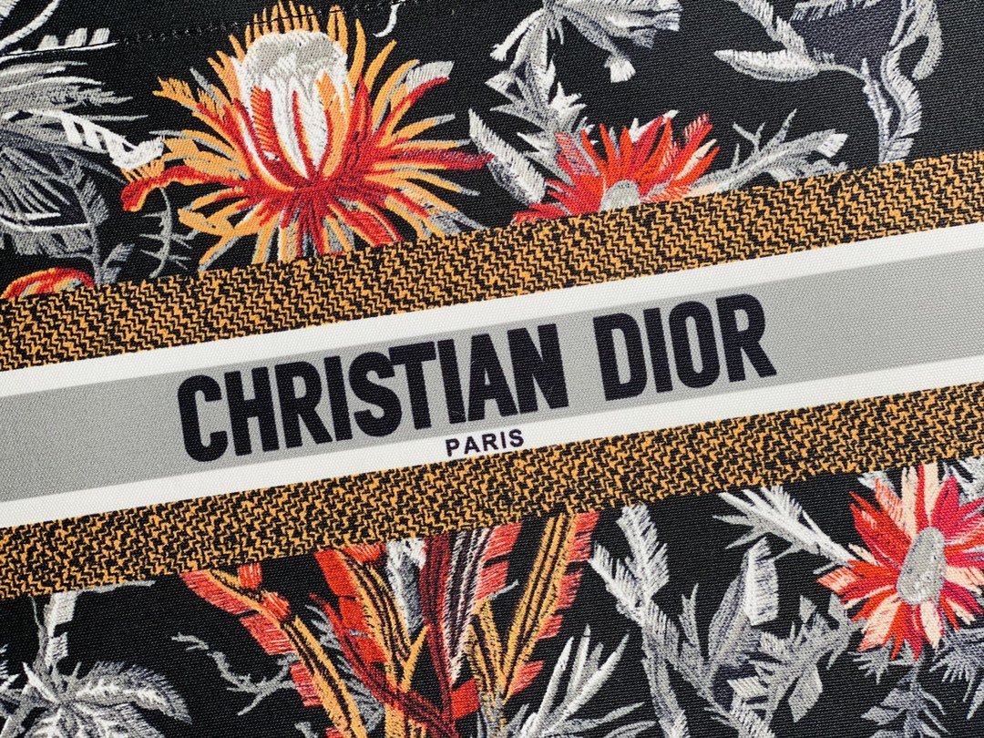 Luxury Handbags Christian Dior 120