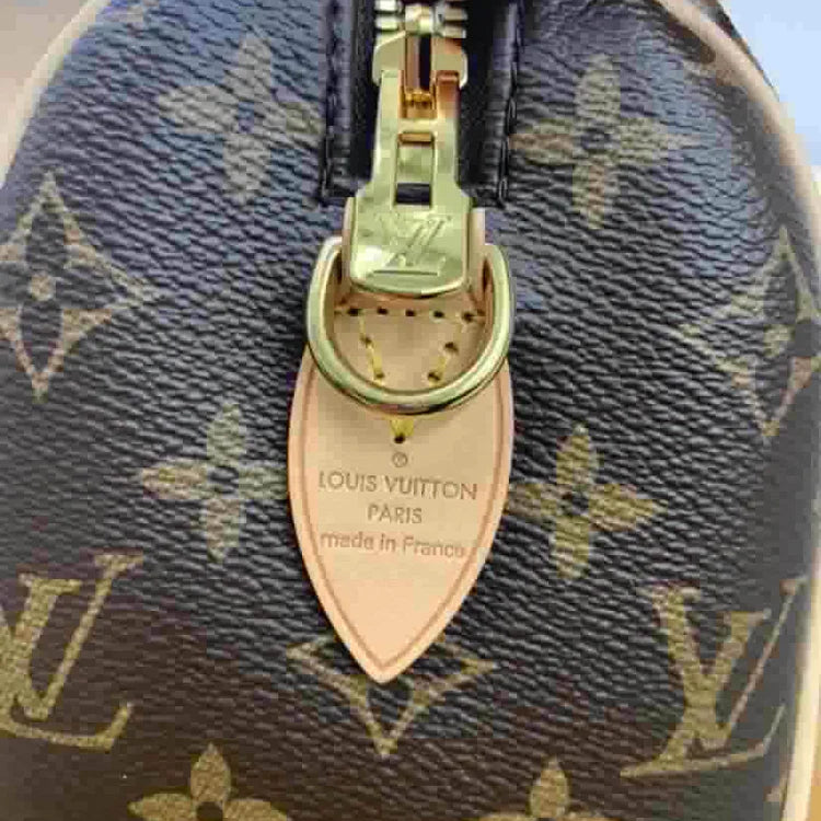 Louis Vuitton Speedy Bandoulière 20 handbag, brown, leather