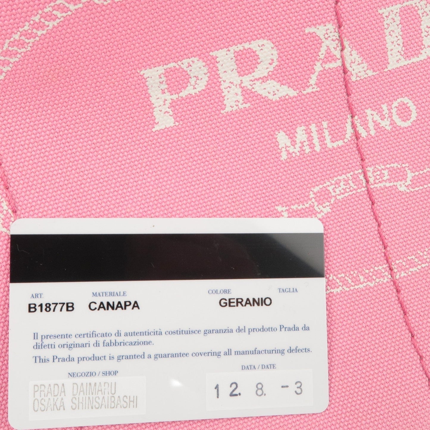 Prada Logo Canapa CanvasTote Bag Hand Bag Pink B1877B