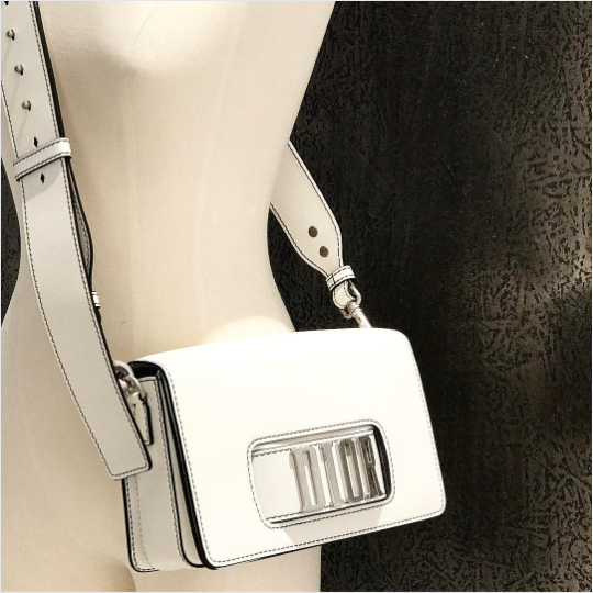 Dior Revolution Flap Bag With Strap