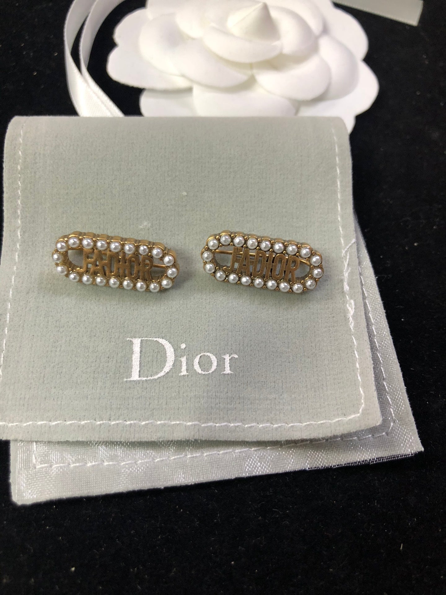 EN - Lux Earring Christian Dior 019