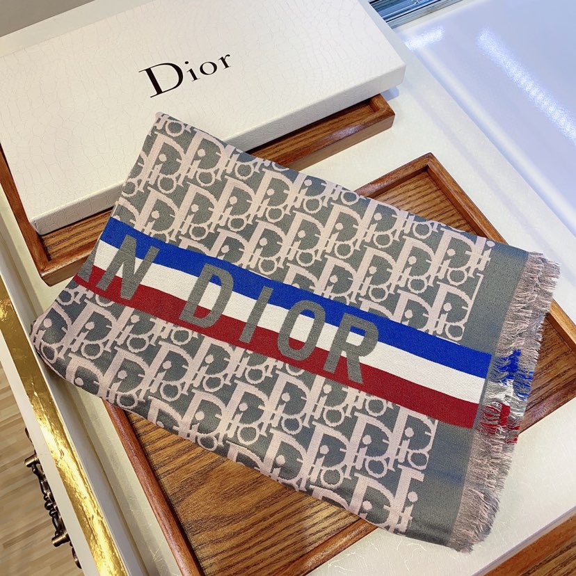 EN - Luxury  Christian Dior Scarf 008