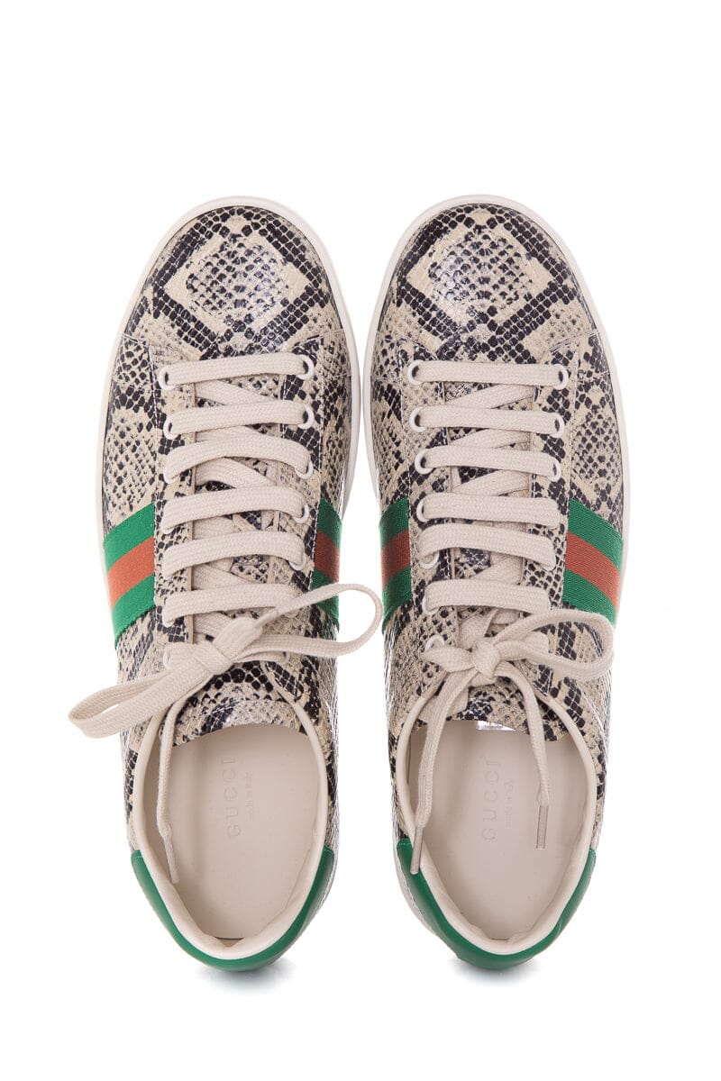 Gucci Python Men's Ace Sneakers SZ 39.5