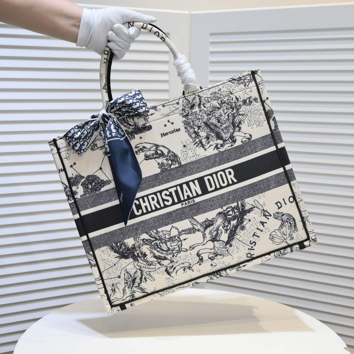 EN - New Arrival Bags Christian Dior 296