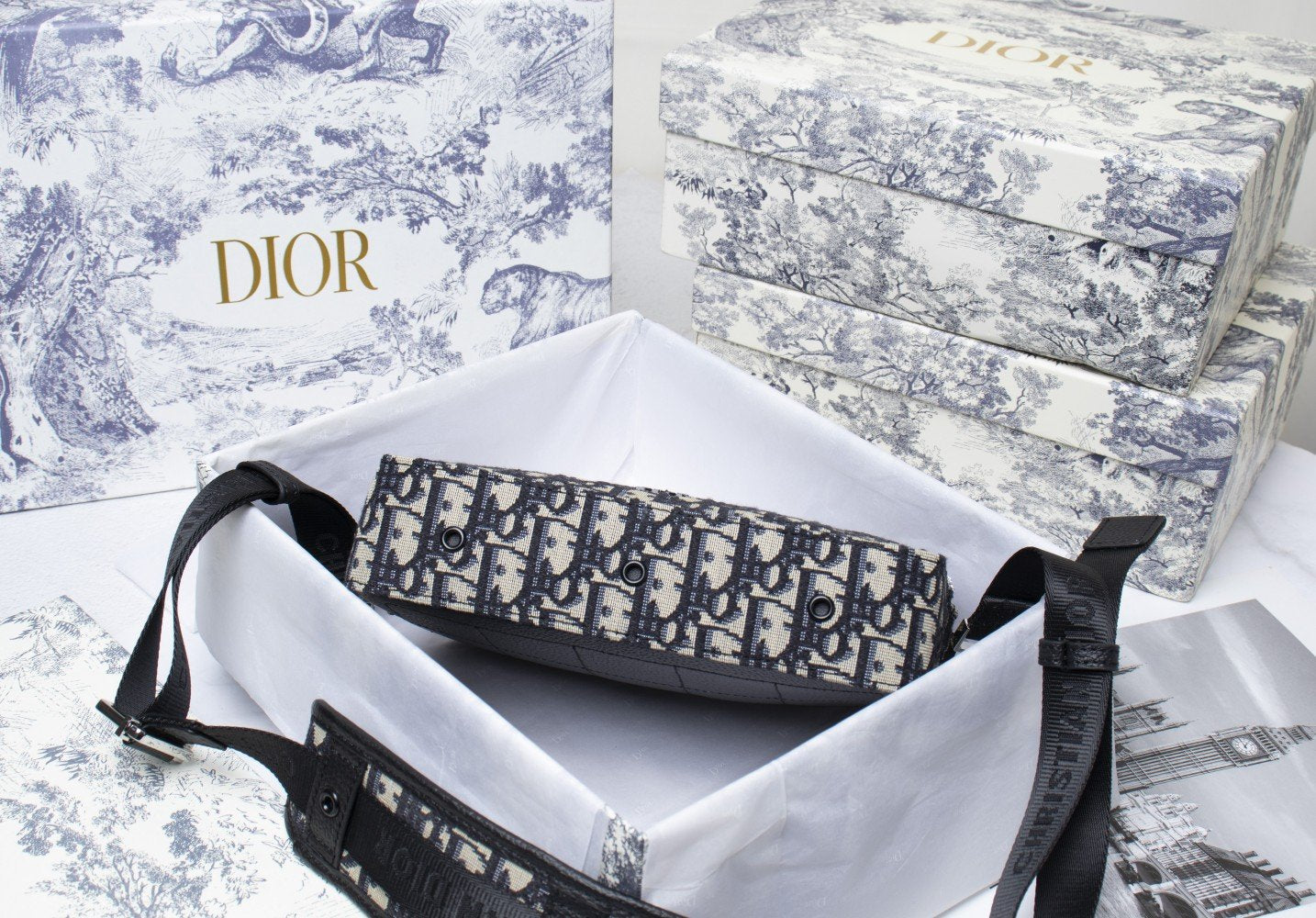 Luxury Handbags Christian Dior 102