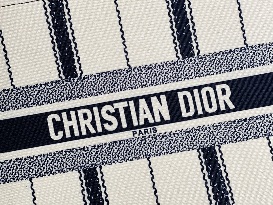 Luxury Handbags Christian Dior 117