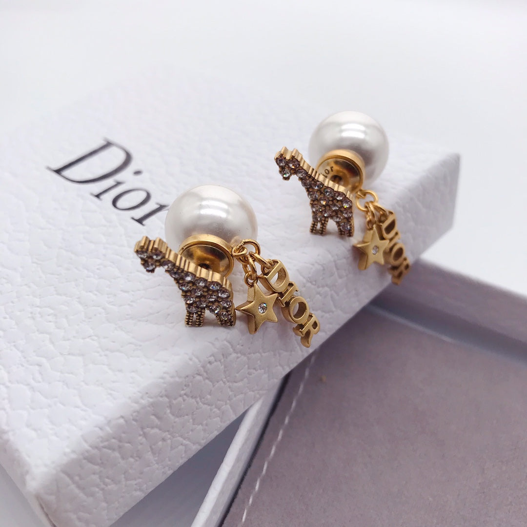 EN - Lux Earring Christian Dior 055