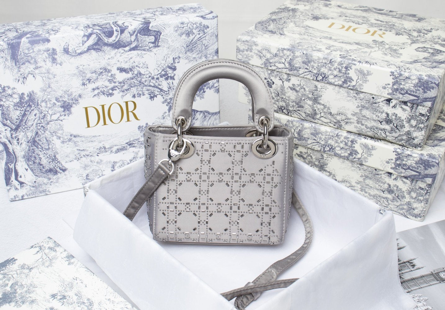 Luxury Handbags Christian Dior 231