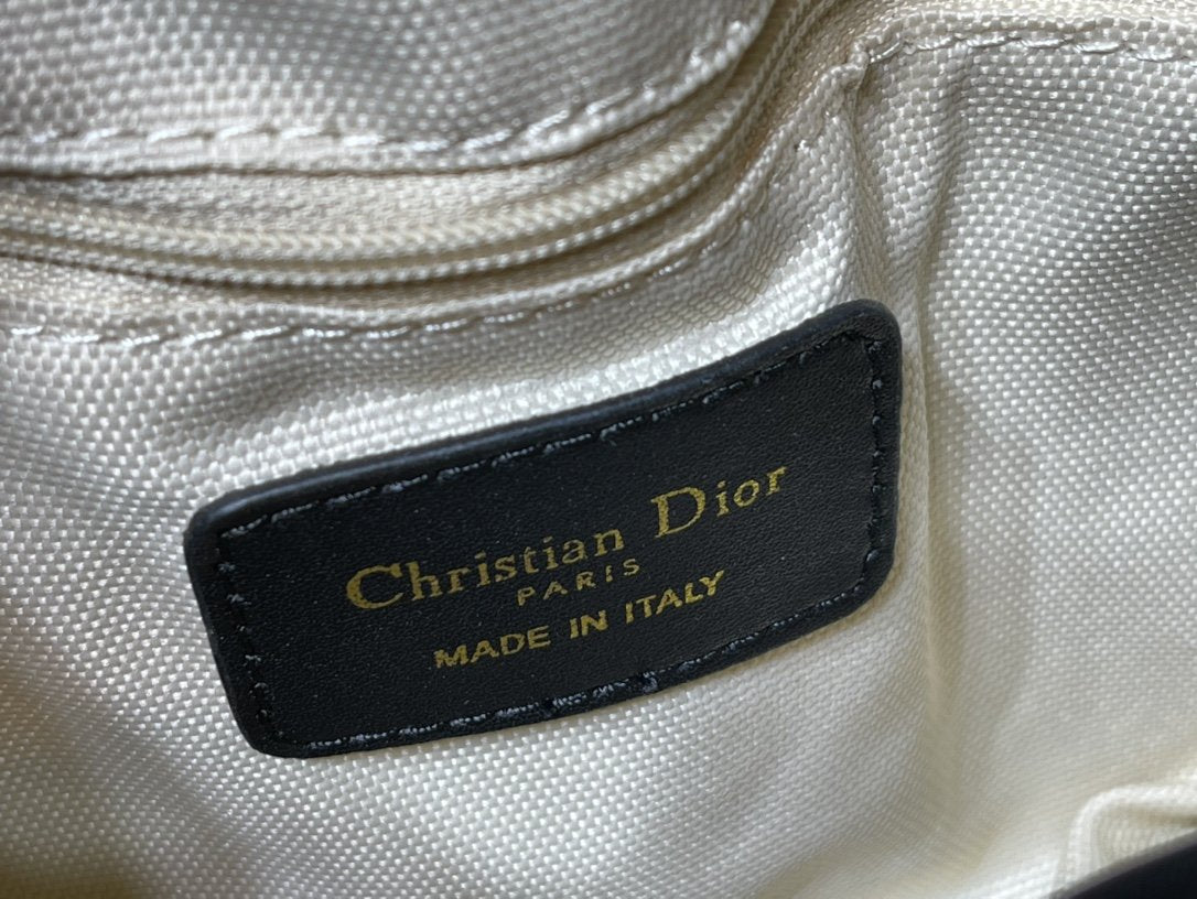 Luxury Handbags Christian Dior 258