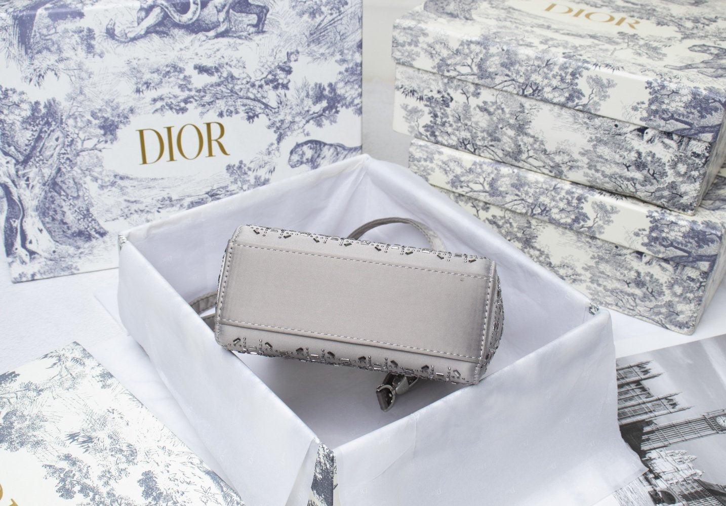 Luxury Handbags Christian Dior 231