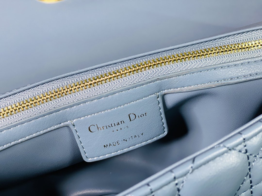 Luxury Handbags Christian Dior 235