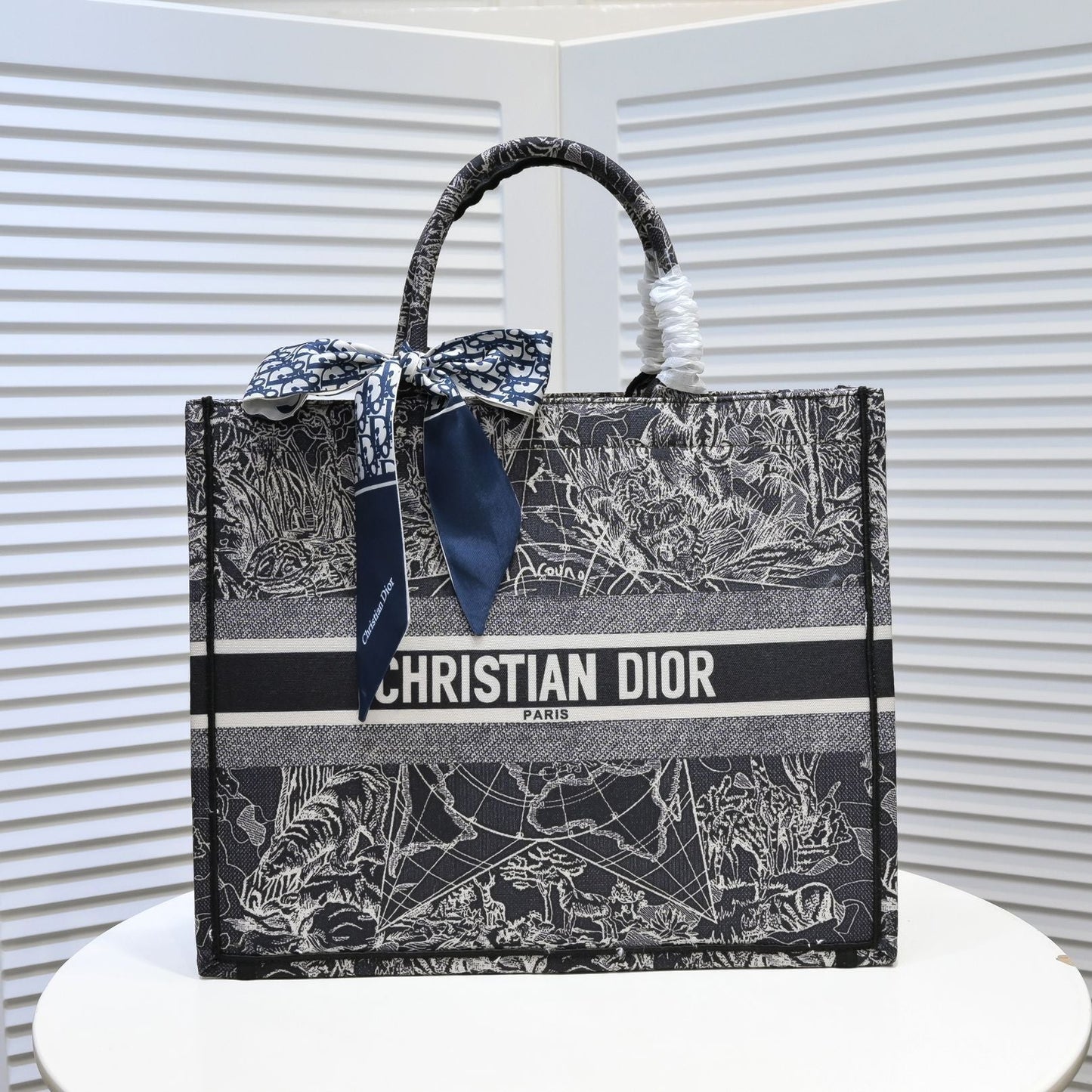 Luxury Handbags Christian Dior 293