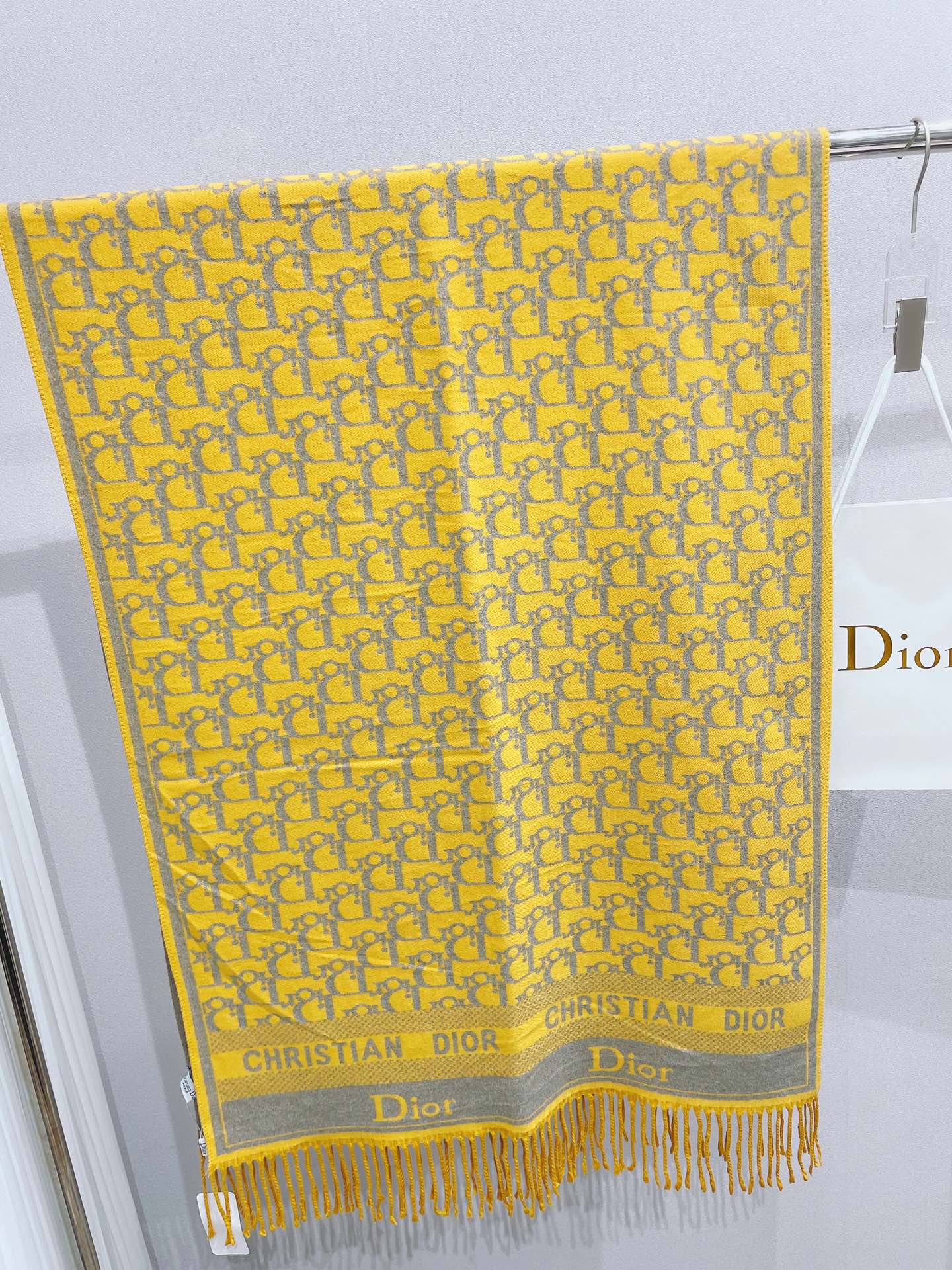 EN - Luxury  Christian Dior Scarf 005