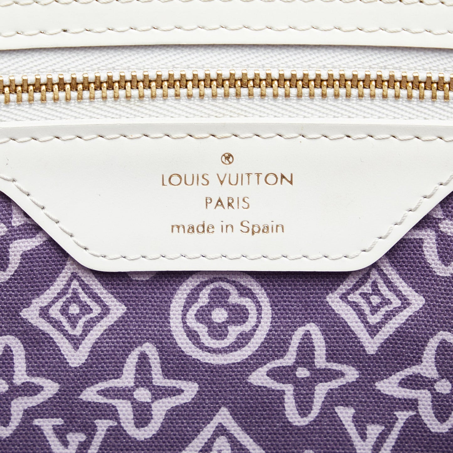 Purple Louis Vuitton Monogram Tahitienne Cabas PM Tote Bag