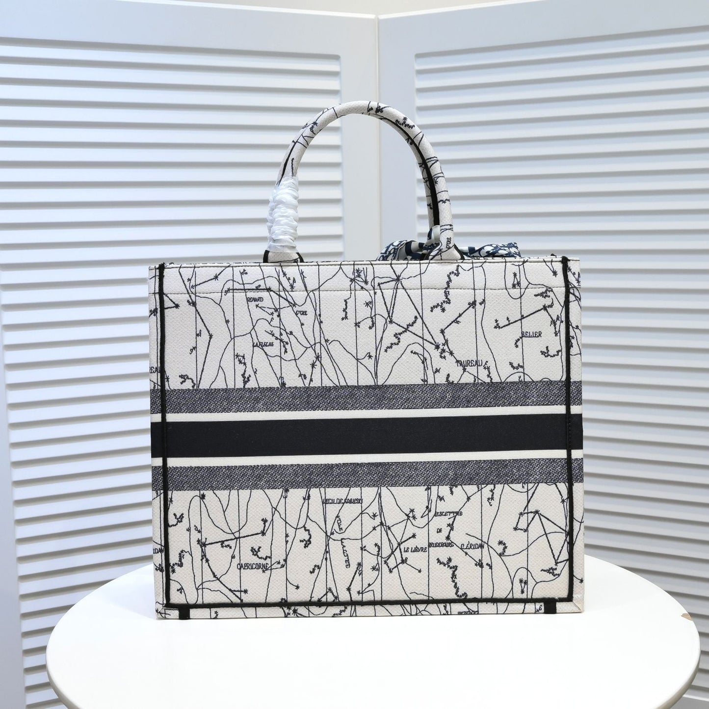 Luxury Handbags Christian Dior 291