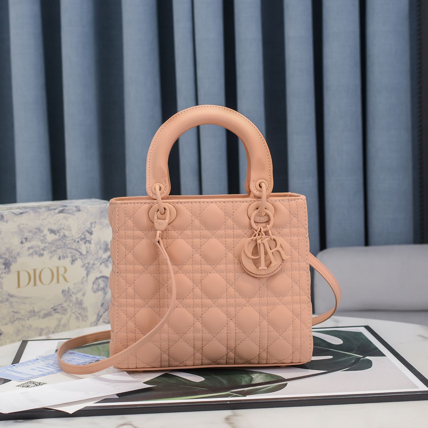 Luxury Handbags Christian Dior 221