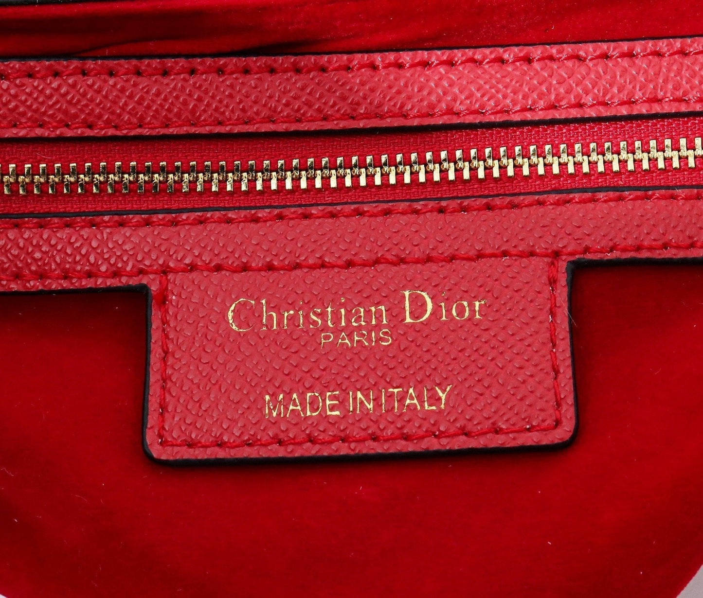 Luxury Handbags Christian Dior 169