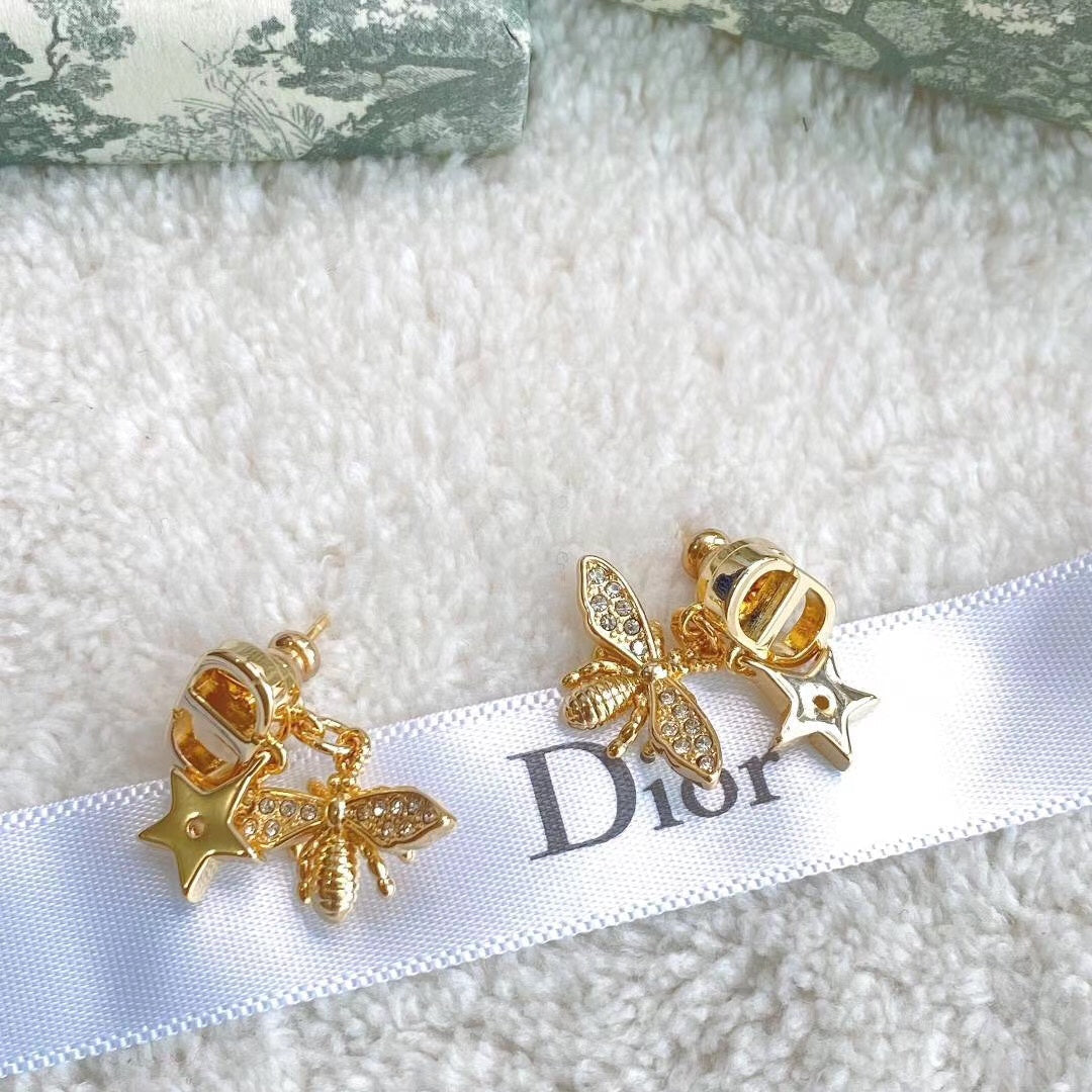 EN - Lux Earring Christian Dior 043