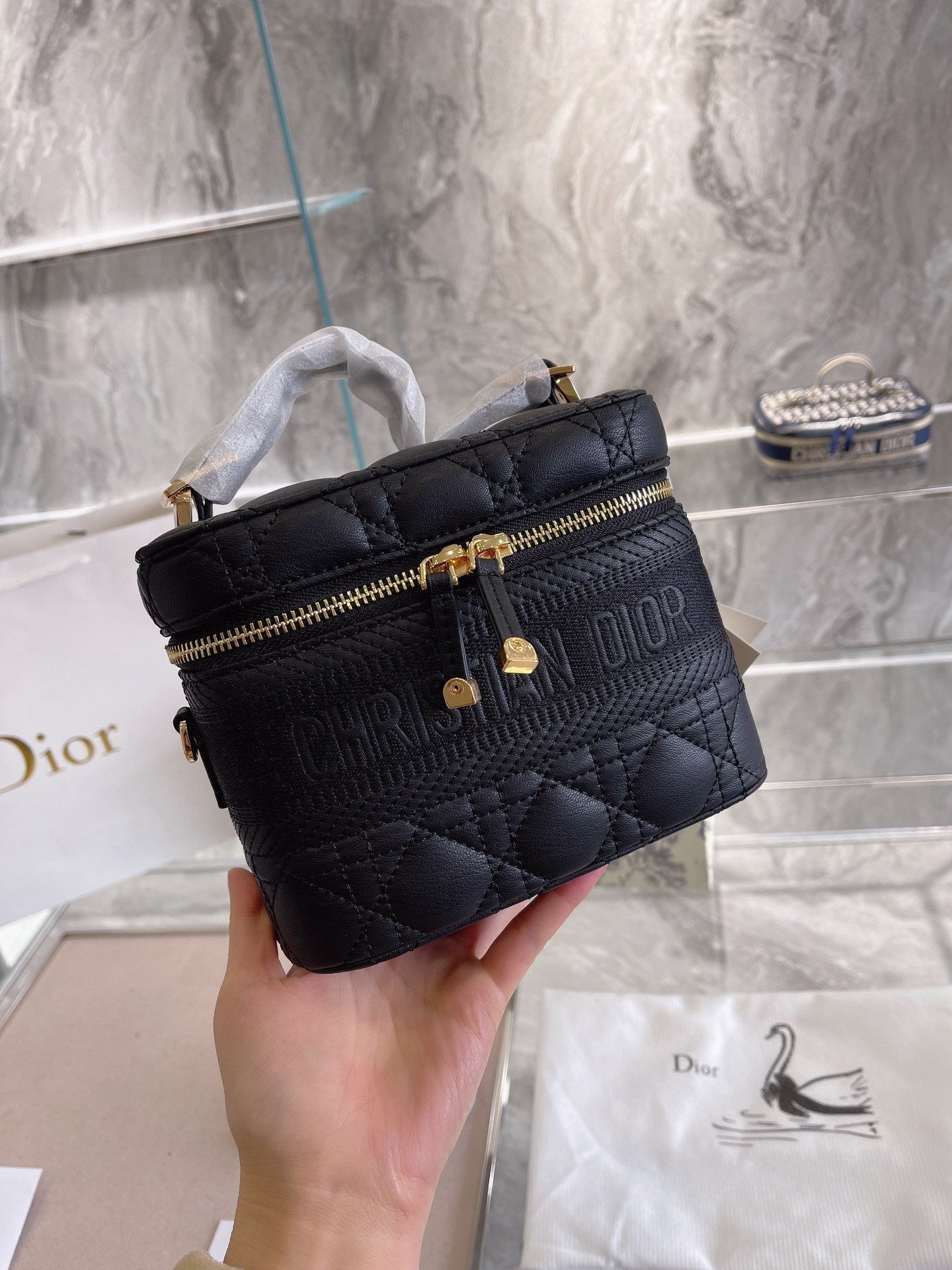 Luxury Handbags Christian Dior 215