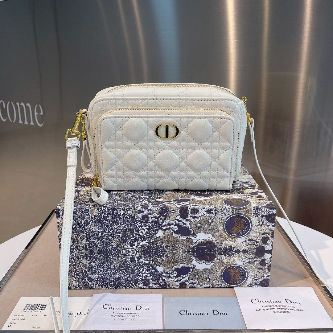 Luxury Handbags Christian Dior 304