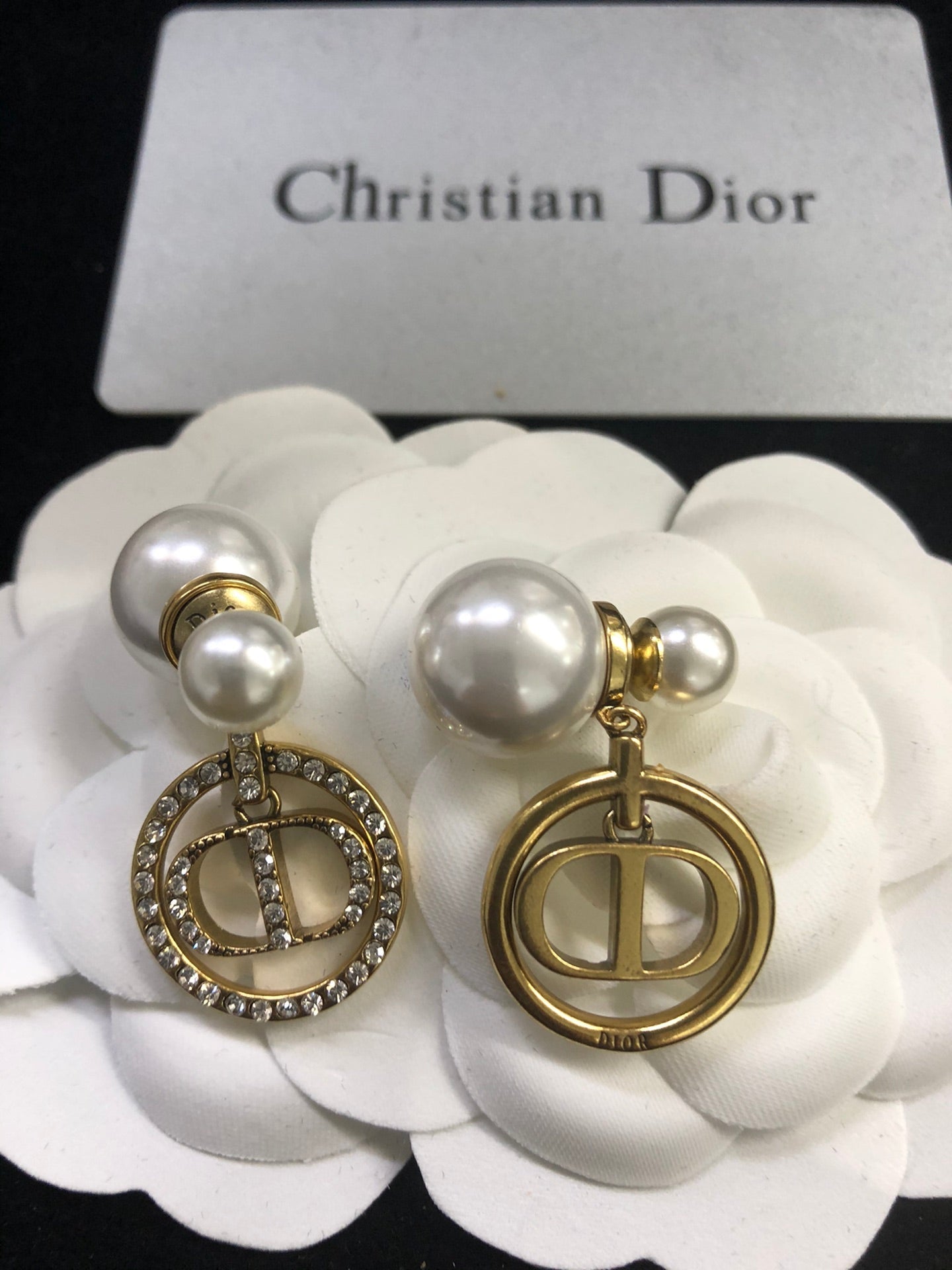 EN - Lux Earring Christian Dior 059