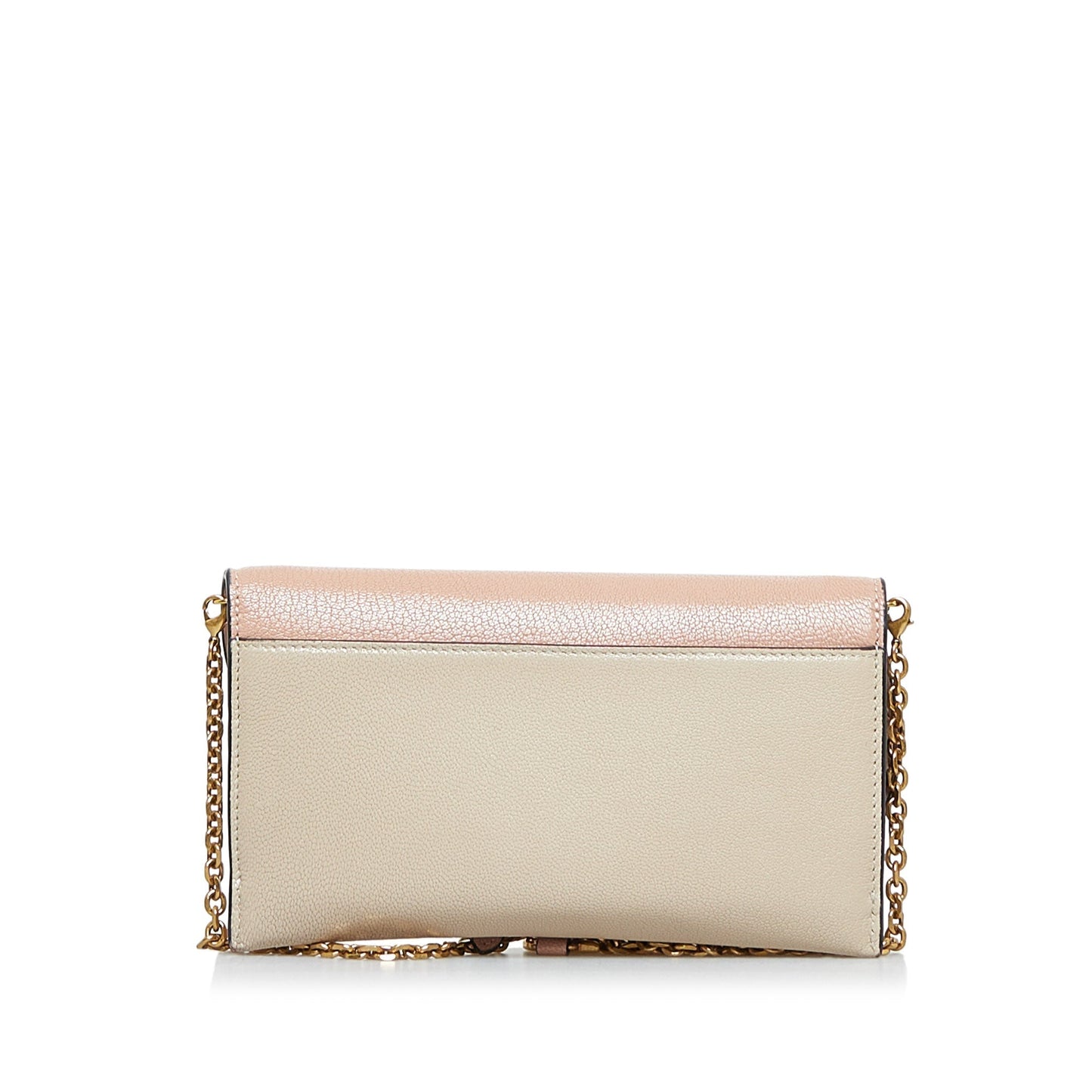 DIOR Saddle Wallet On Chain Crossbody Bag