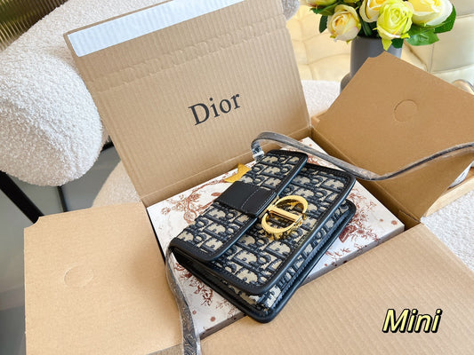 EN - New Lux Bags Christian Dior 345