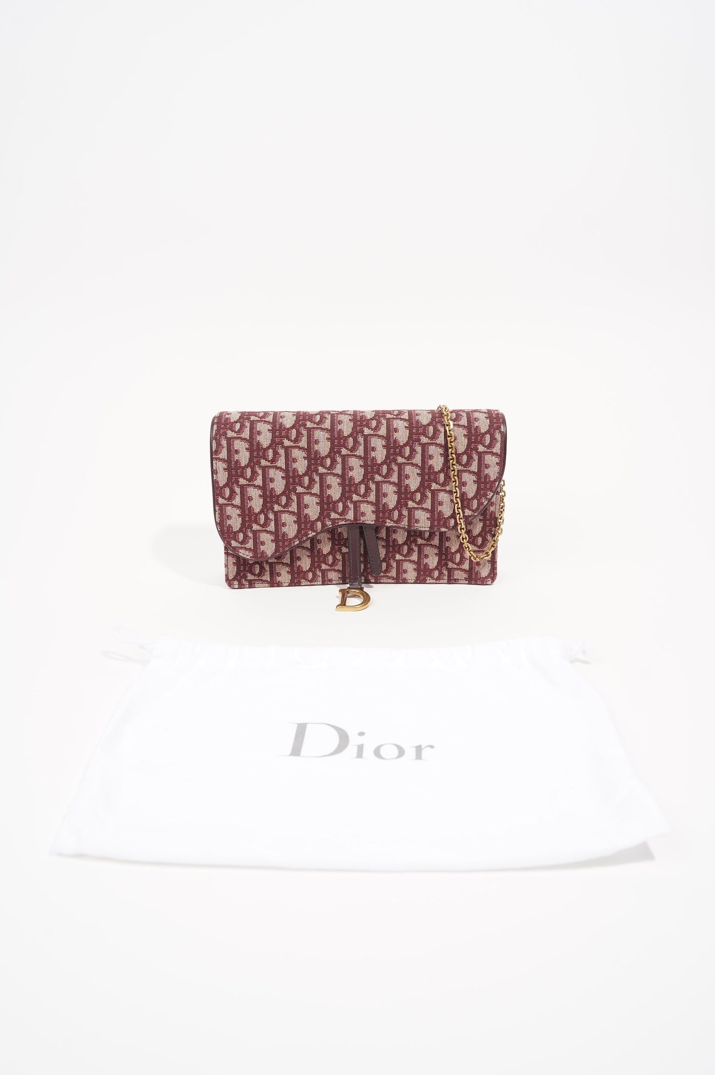 Christian Dior Saddle Pouch Wallet On Chain