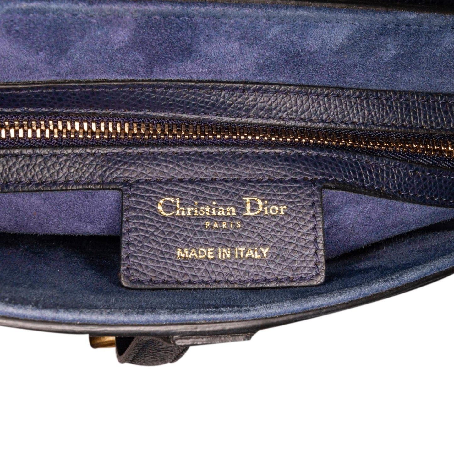 Dior Grained Saddle Bag (SHG-er5tl1)