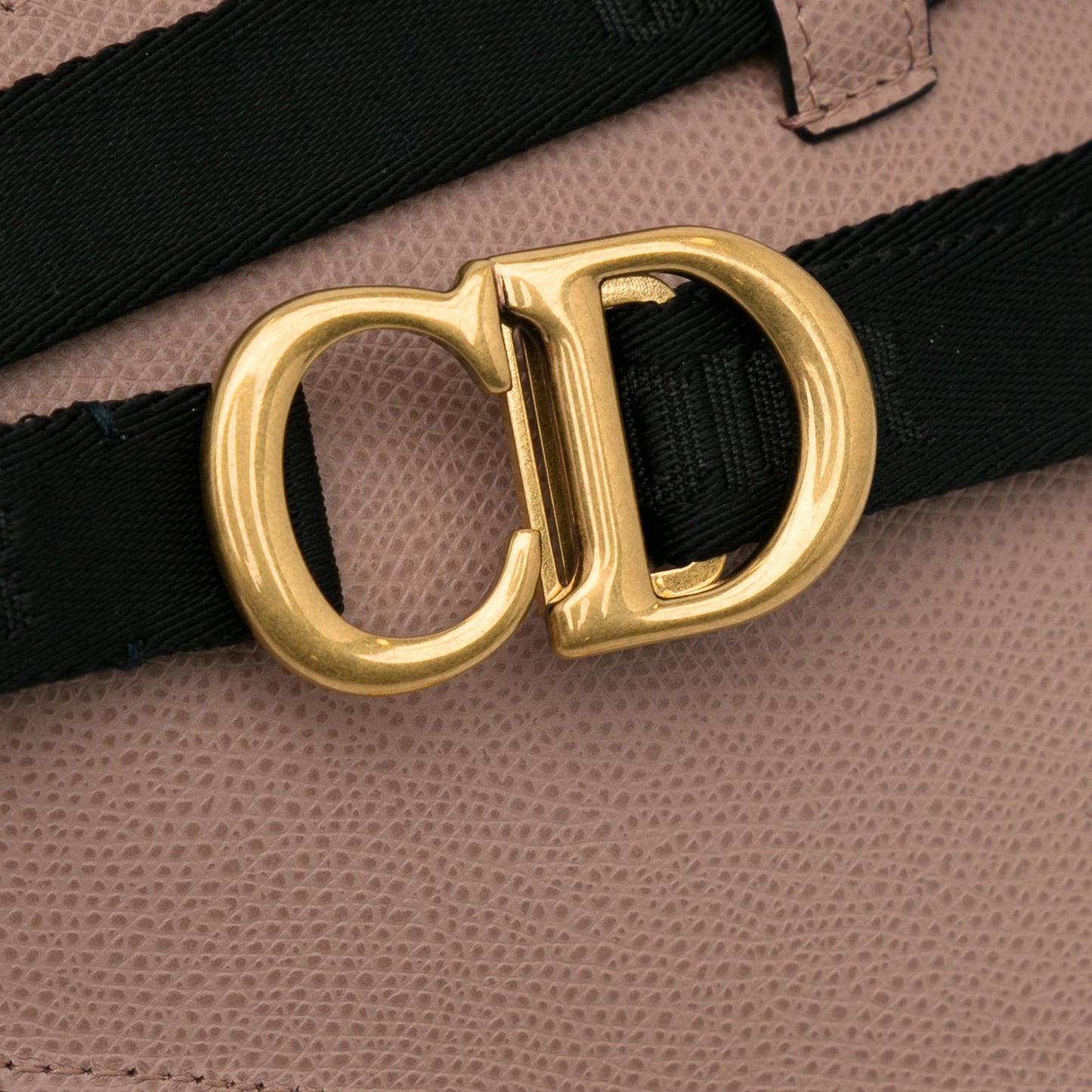 Dior Leather Saddle Belt Bag (SHG-spaaI5)