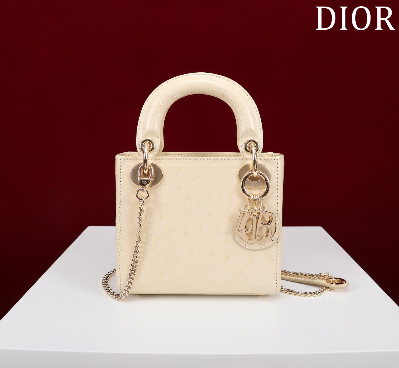 DIR - Luxury Bags - DIR - 117