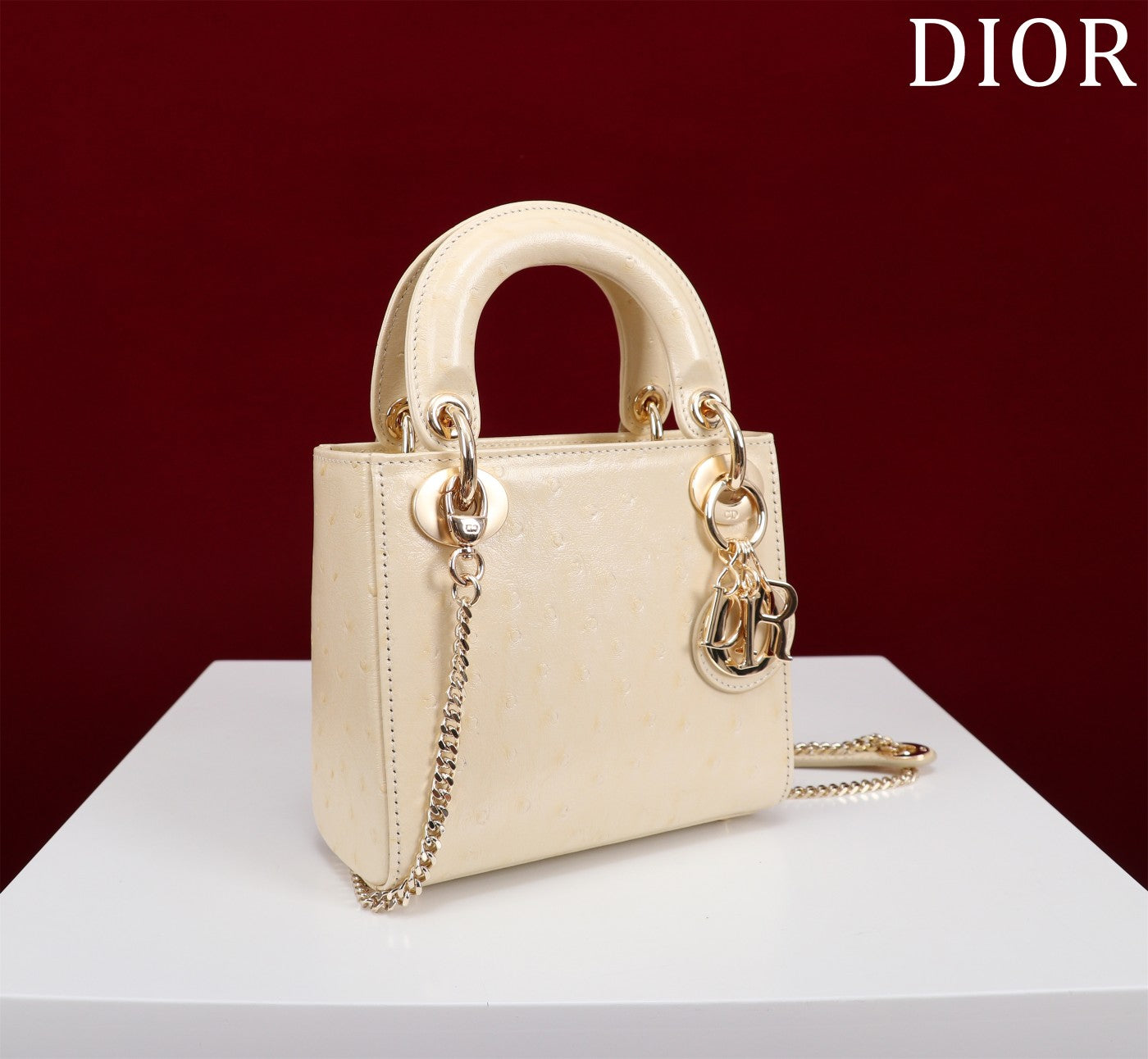 DIR - Luxury Bags - DIR - 117