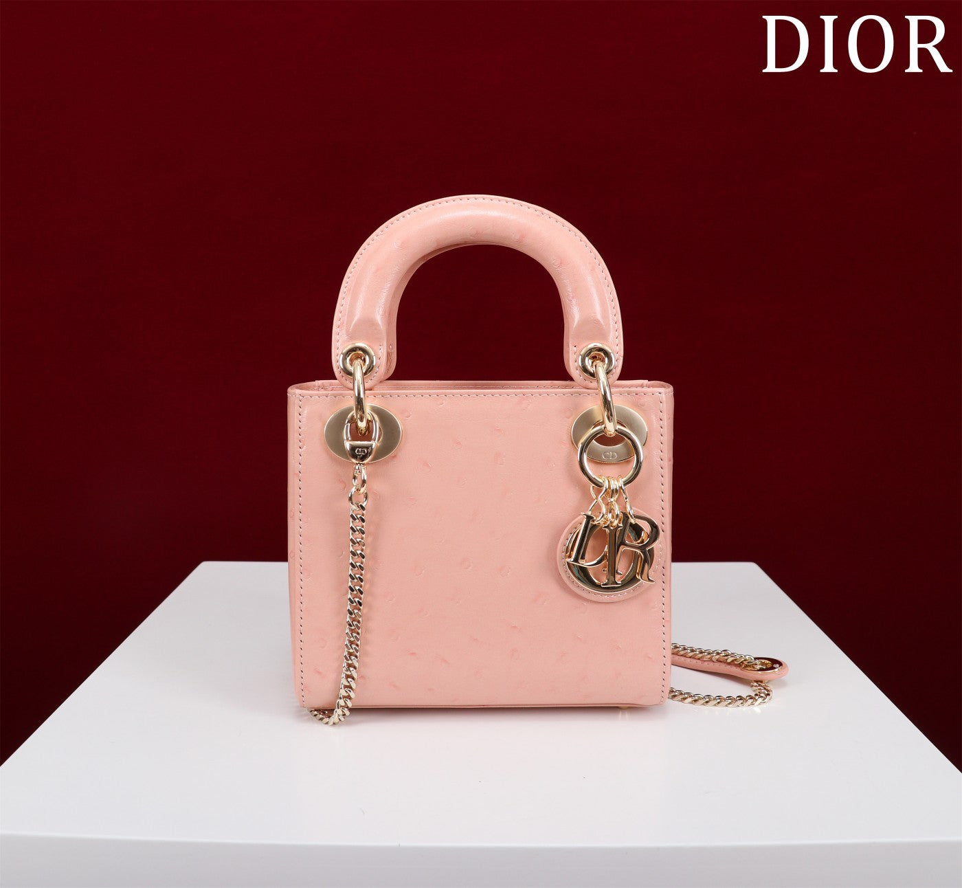 DIR - Luxury Bags - DIR - 118