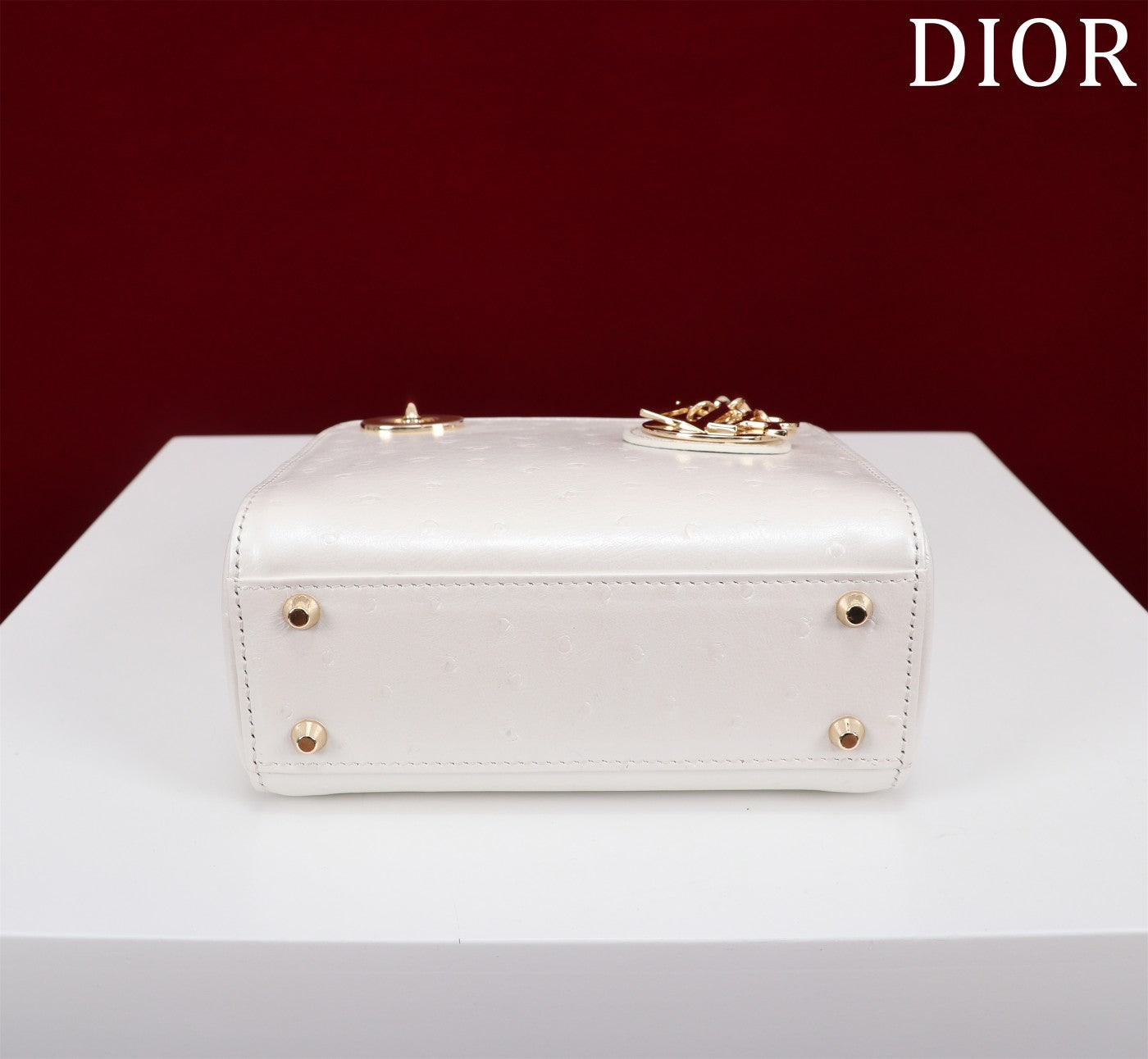 DIR - Luxury Bags - DIR - 119