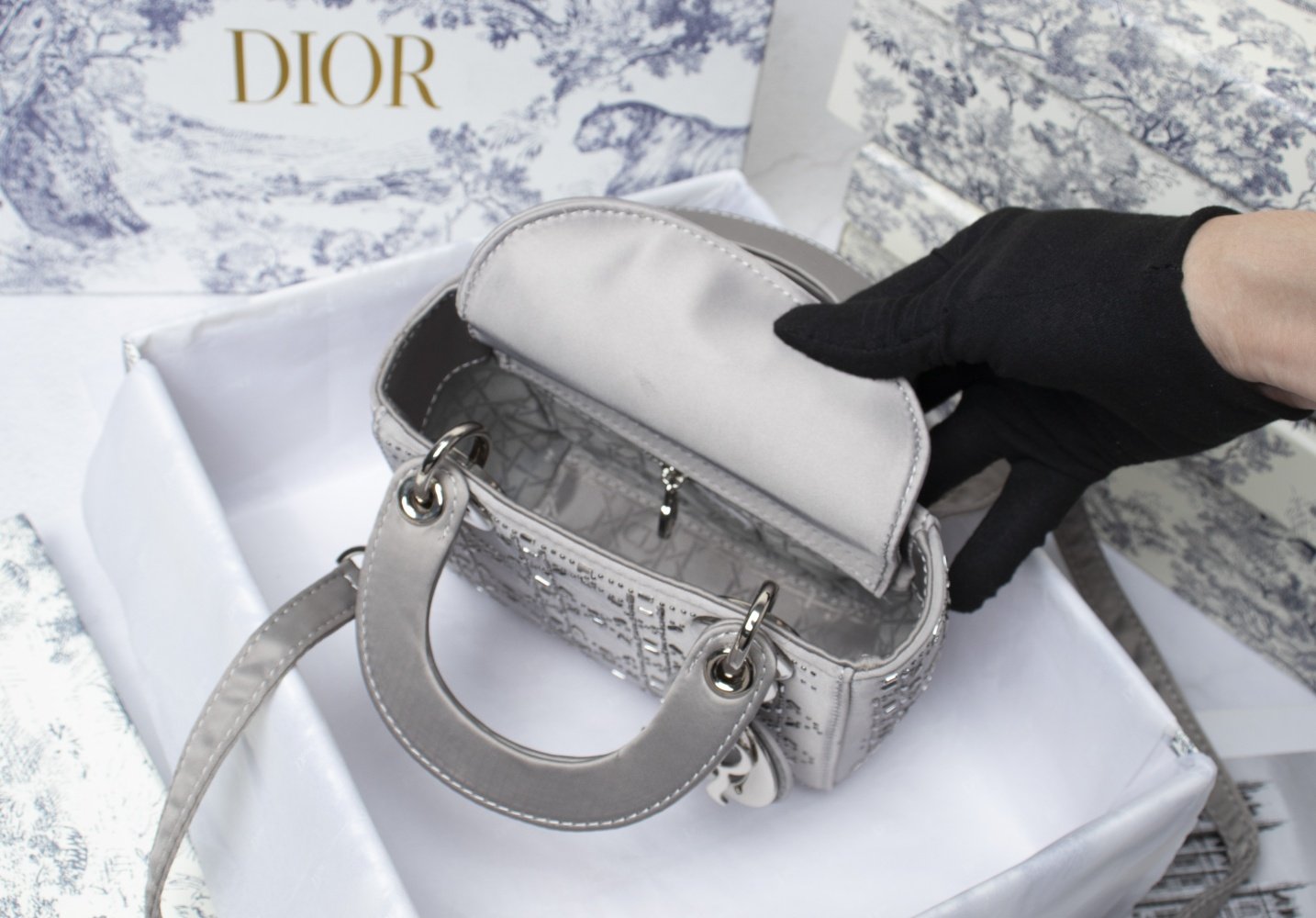 Luxury Handbags Christian Dior 231