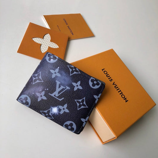 Louis Vuitton Multiple wallet