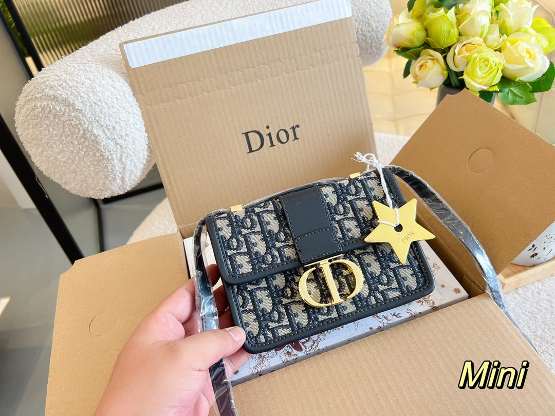 EN - New Lux Bags Christian Dior 345