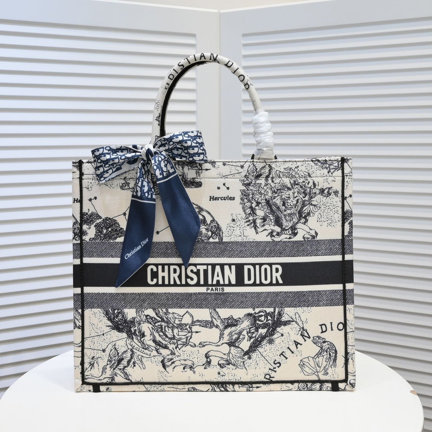 EN - New Arrival Bags Christian Dior 296