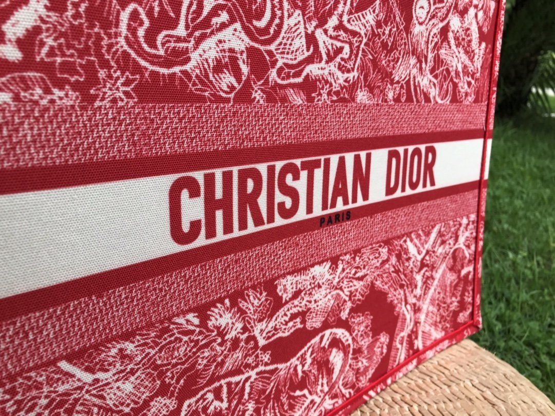 Luxury Handbags Christian Dior 250