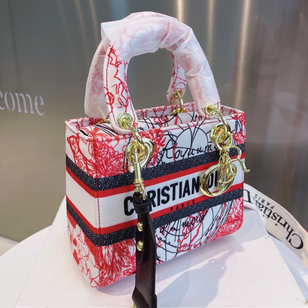 EN - New Arrival Bags Christian Dior 308