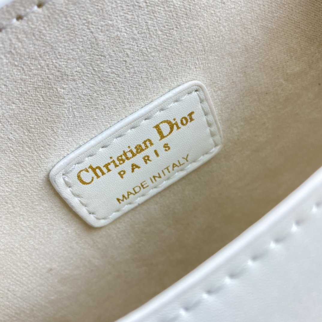 EN - New Arrival Bags Christian Dior 074