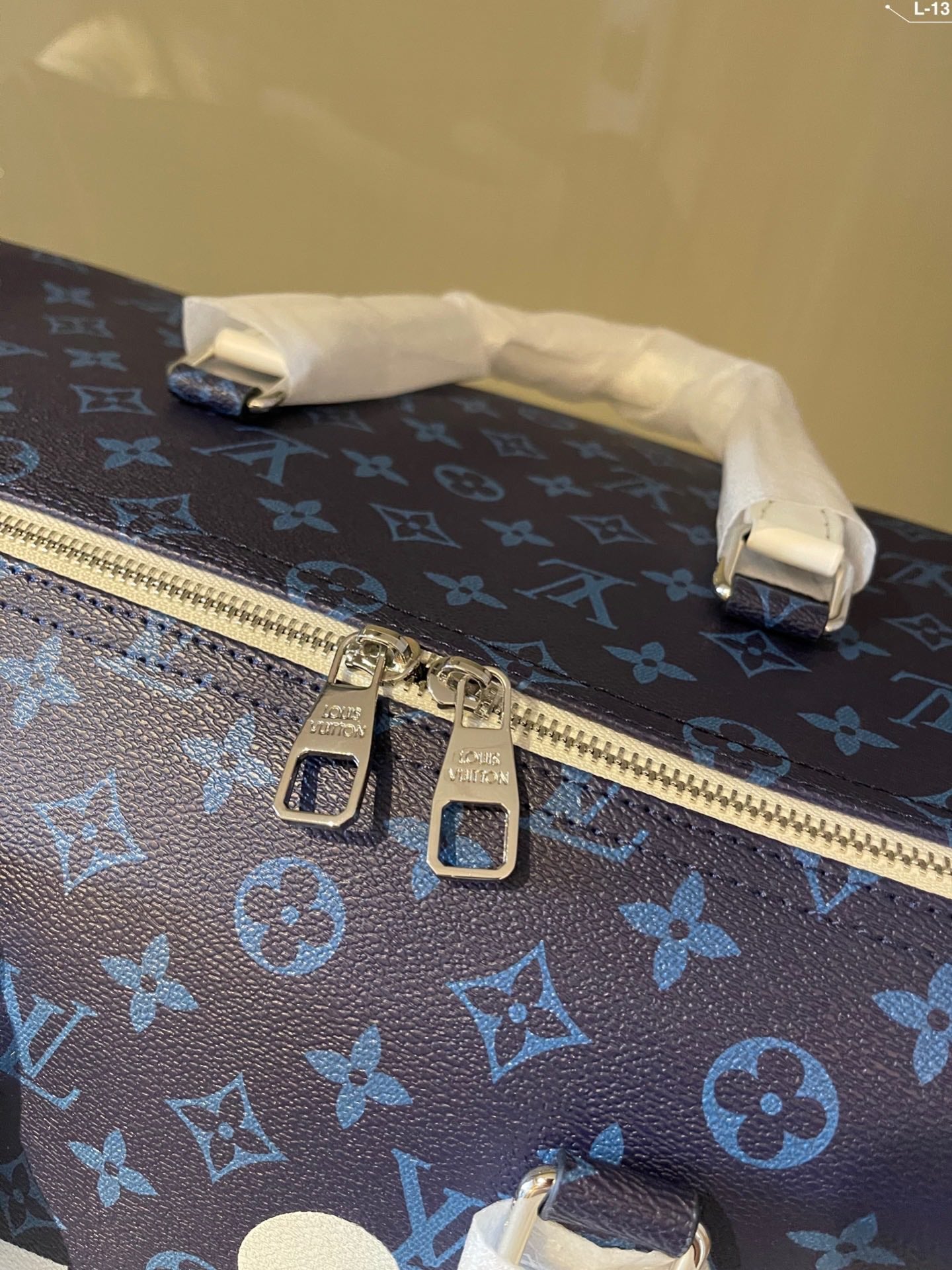 Designer Handbags Louis Vuitton 498