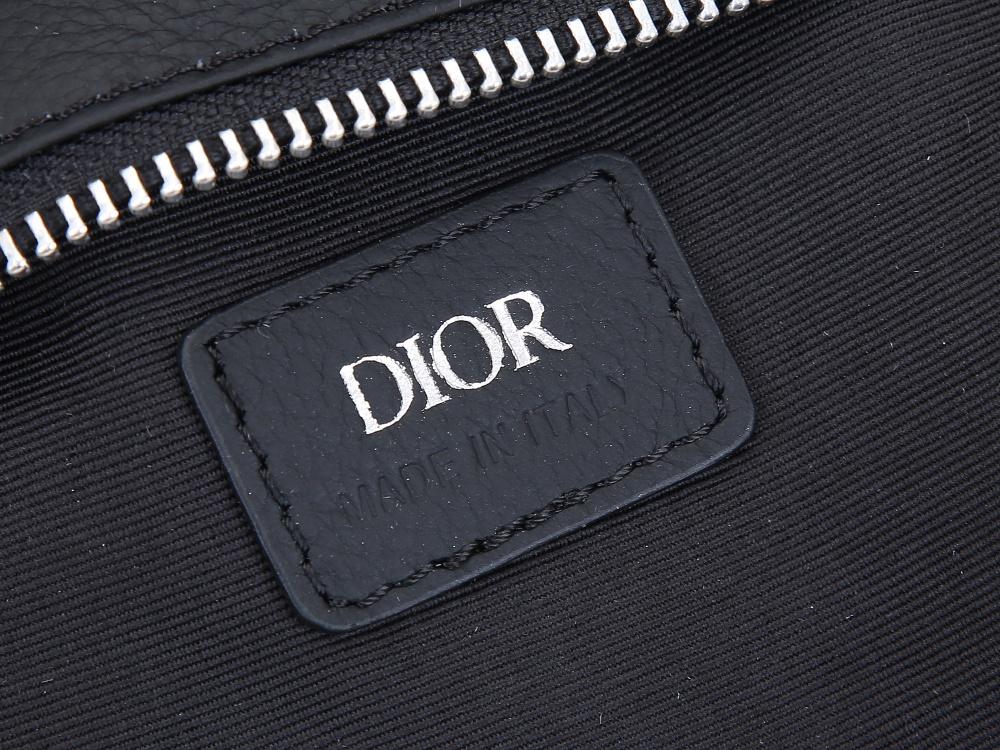 Luxury Handbags Christian Dior 099