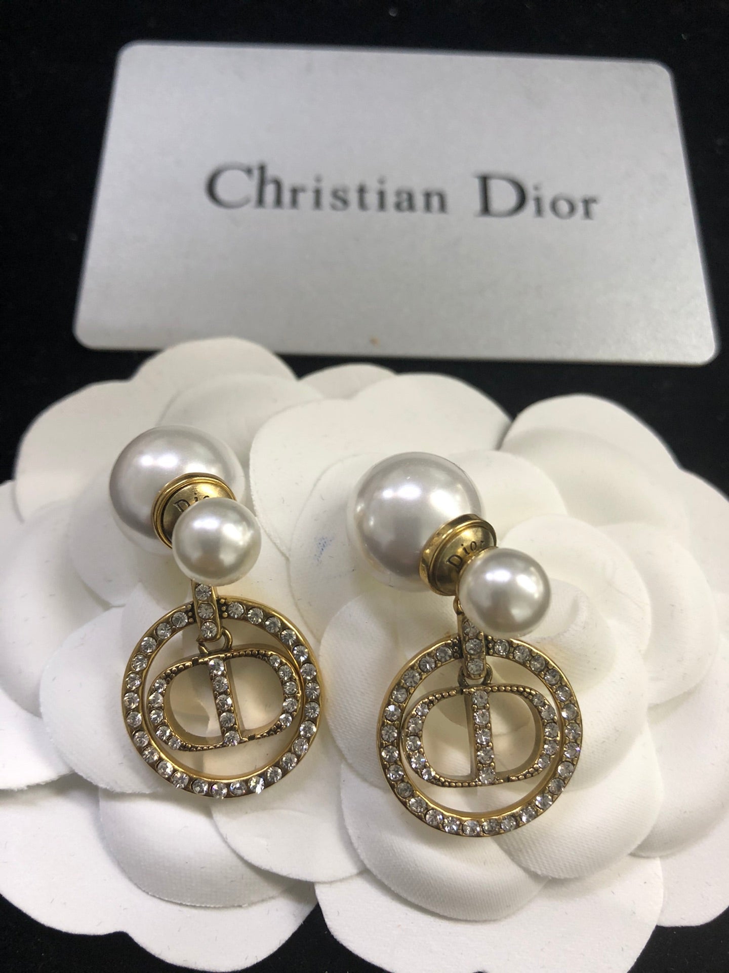 EN - Lux Earring Christian Dior 059