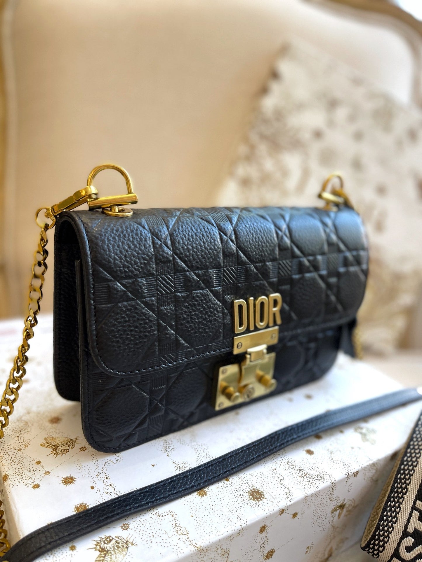 EN - New Lux Bags Christian Dior 347