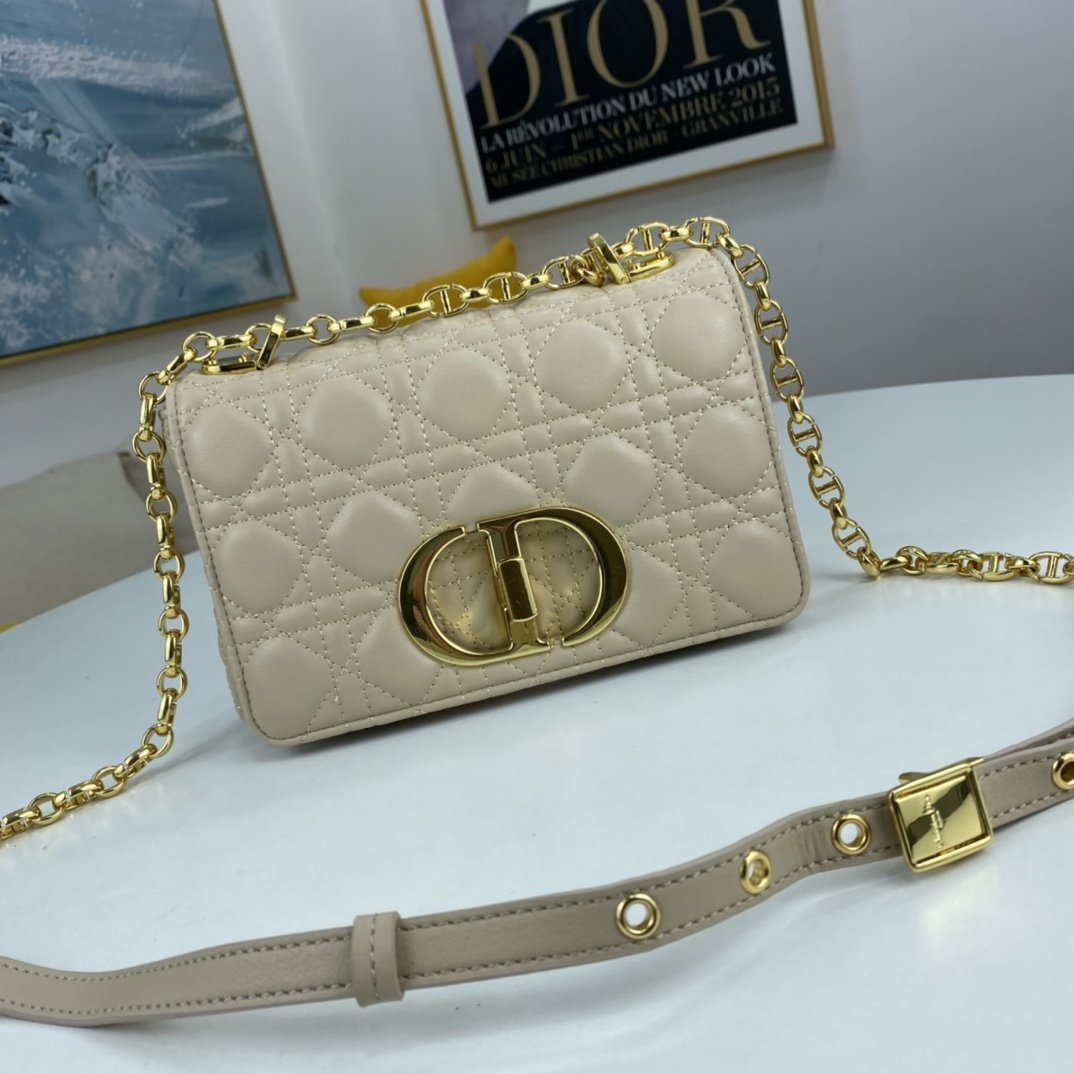 Luxury Handbags Christian Dior 069